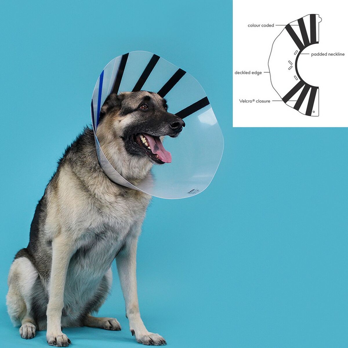 Elizabethan Dog Collar KVP EZ Clear (18-25 cm)-1